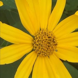 Meet your Posher, Michel